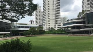 留学新加坡IT专业申请步骤