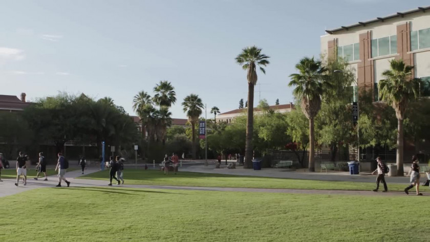 亚利桑那大学学院设置